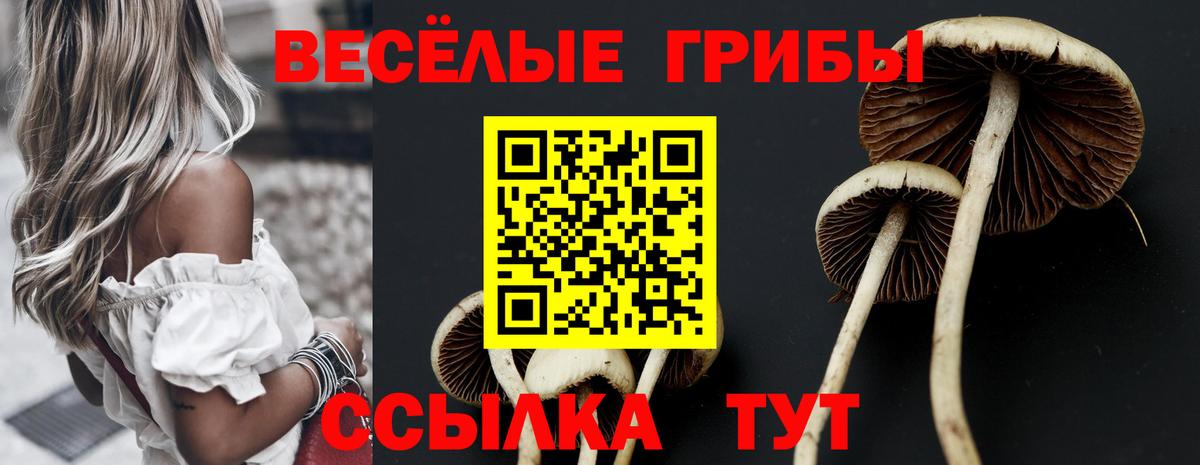 Галлюциногенные грибы GOLDEN TEACHER Дубна